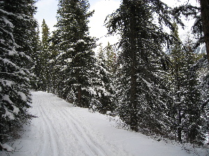 part of the Amos Stretch of the trail system