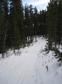 Moose Connector Trail